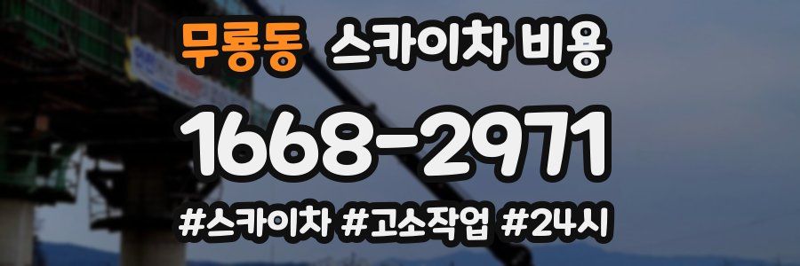 무룡동 스카이차 비용