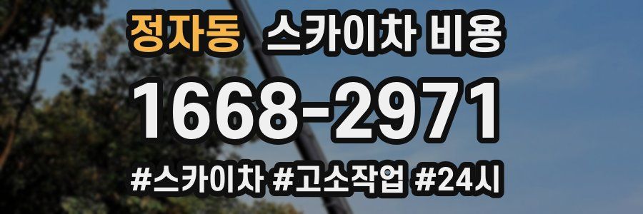 정자동 스카이차 비용