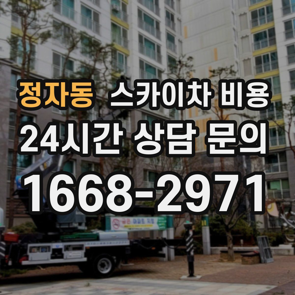 정자동 스카이차 비용