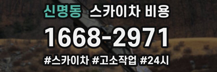 신명동 스카이차 비용