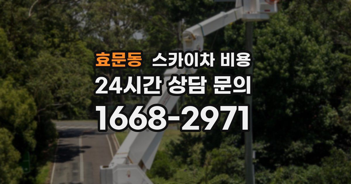 효문동 스카이차 비용