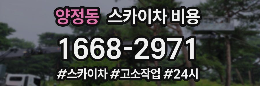 양정동 스카이차 비용