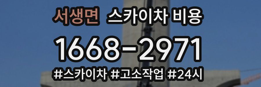 서생면 스카이차 비용