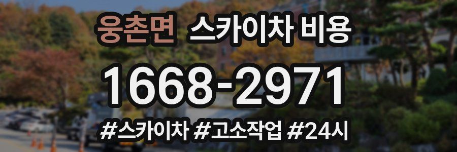 웅촌면 스카이차 비용