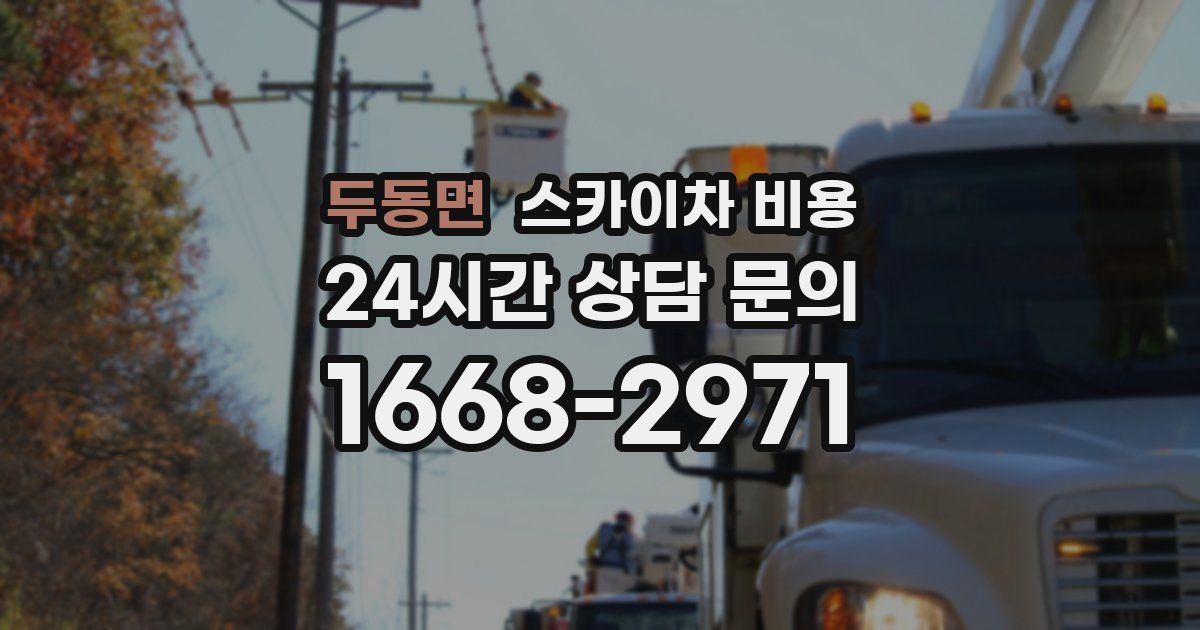 두동면 스카이차 비용