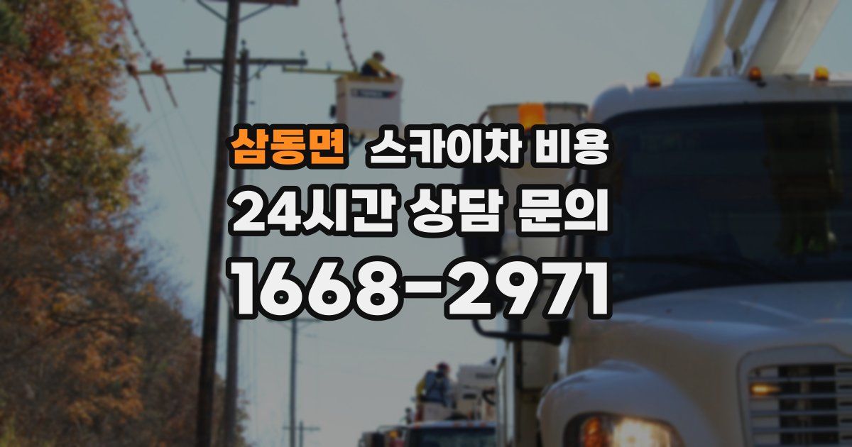 삼동면 스카이차 비용