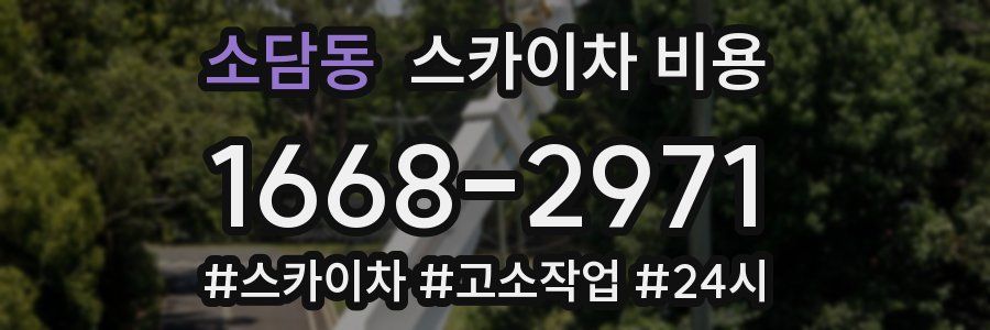 소담동 스카이차 비용