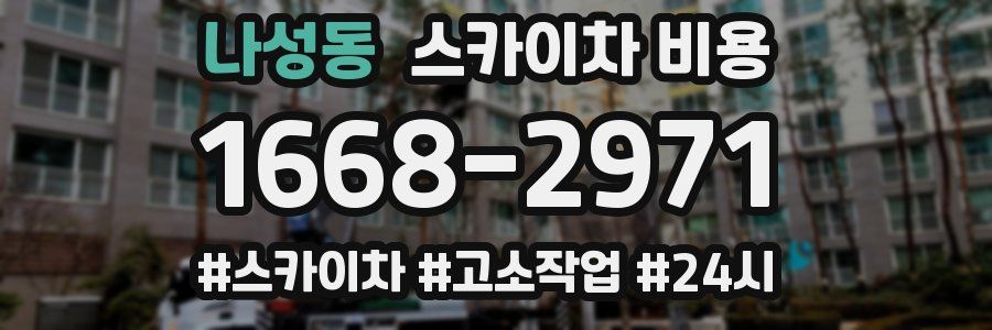 나성동 스카이차 비용
