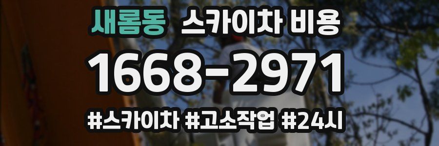 새롬동 스카이차 비용