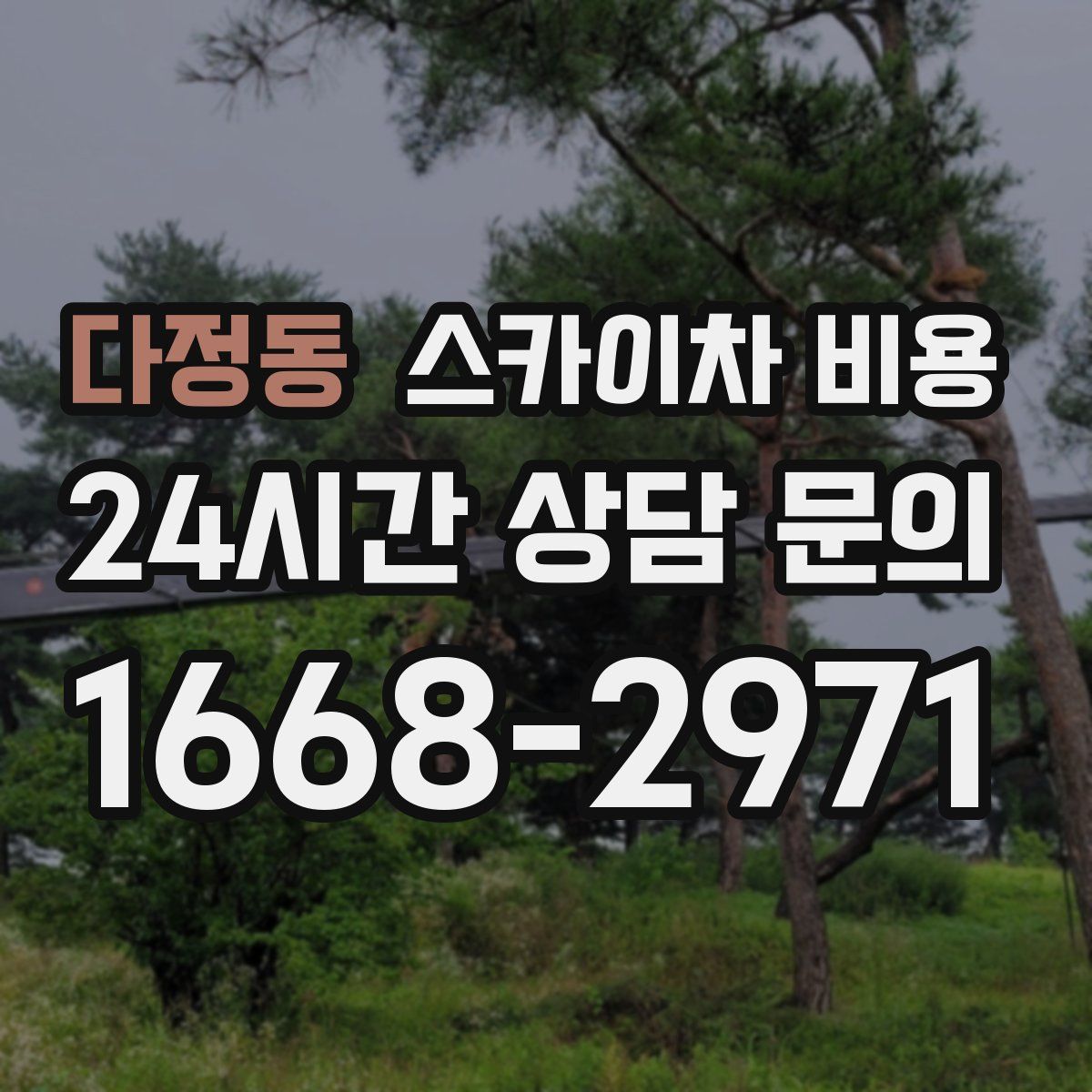 다정동 스카이차 비용