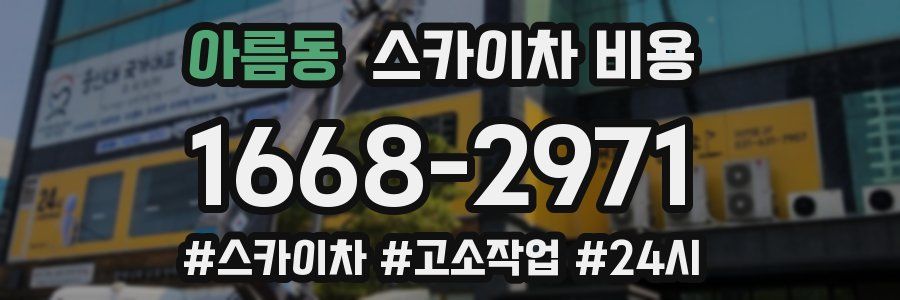 아름동 스카이차 비용