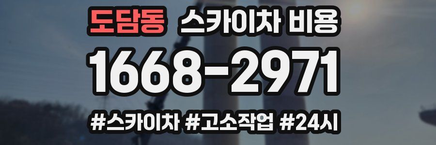 도담동 스카이차 비용