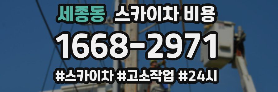 세종동 스카이차 비용