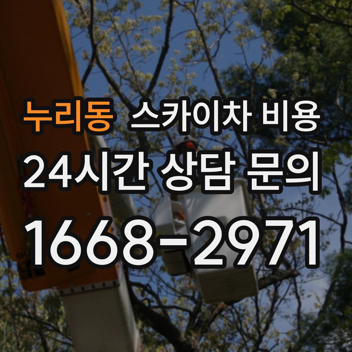 누리동 스카이차 비용