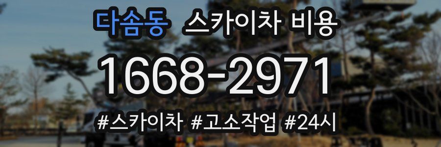 다솜동 스카이차 비용