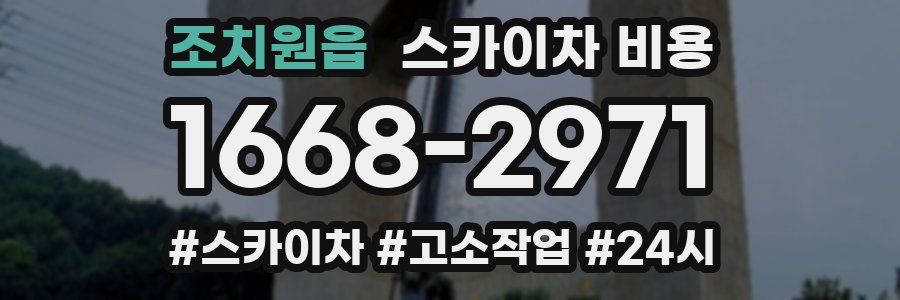 조치원읍 스카이차 비용