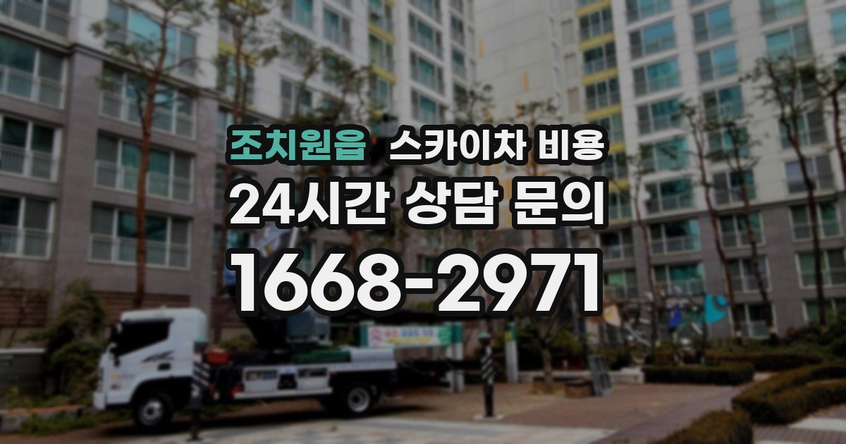 조치원읍 스카이차 비용