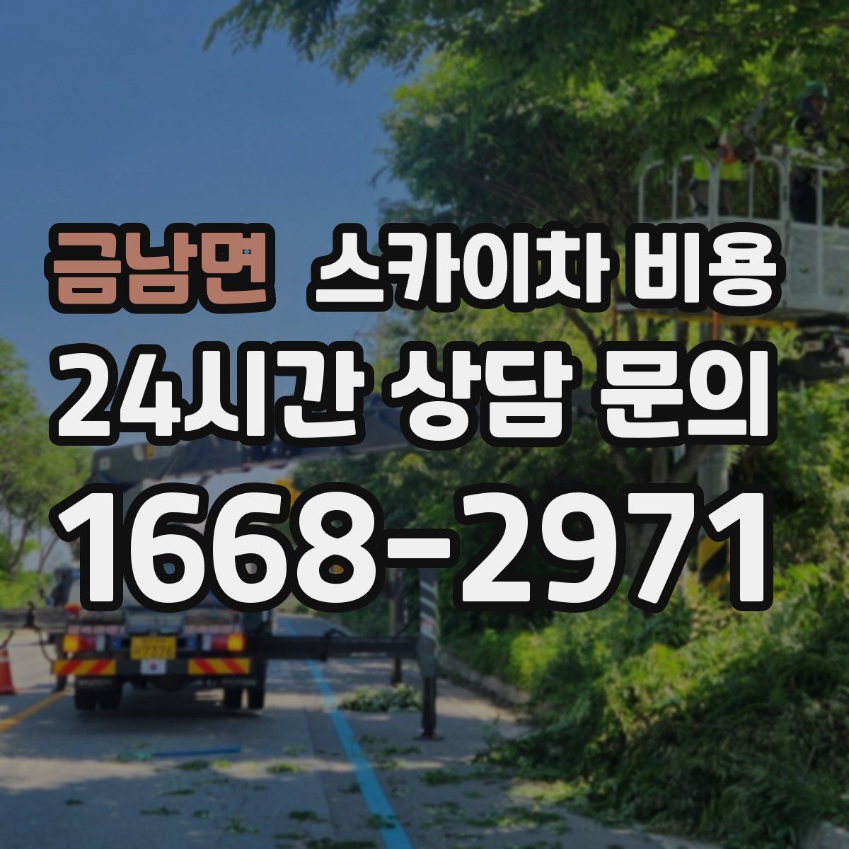 금남면 스카이차 비용