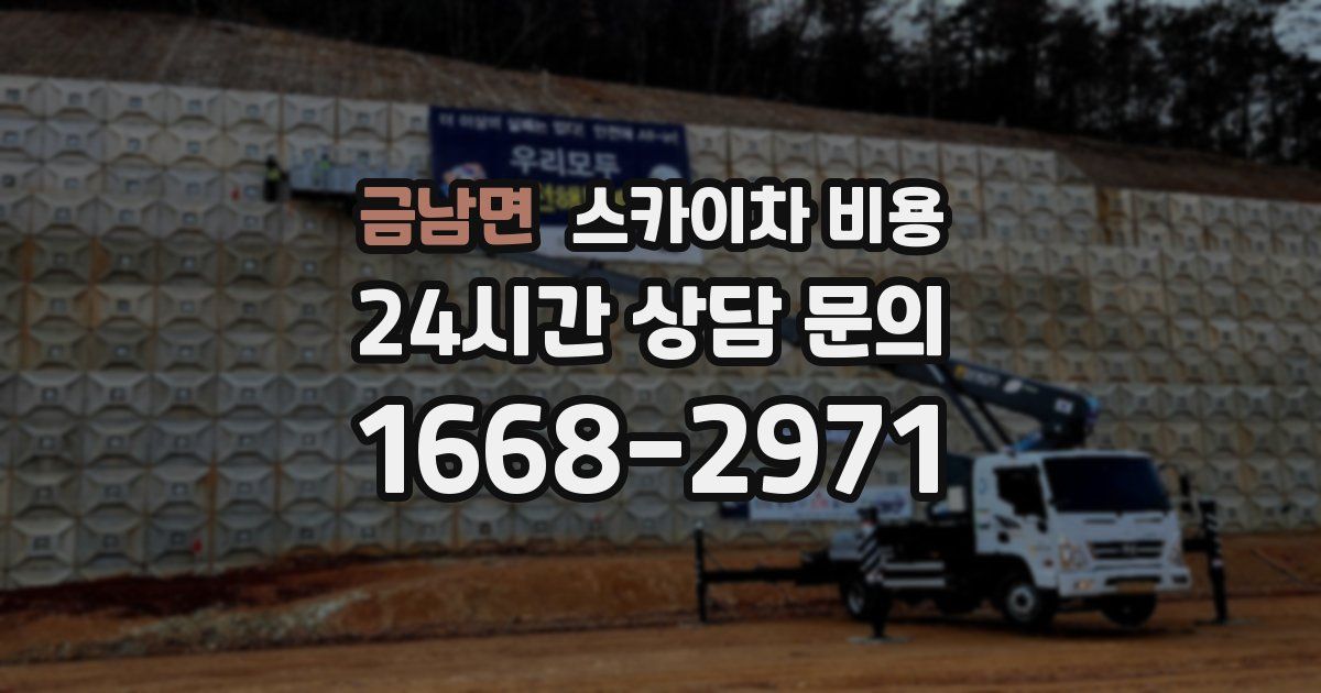 금남면 스카이차 비용