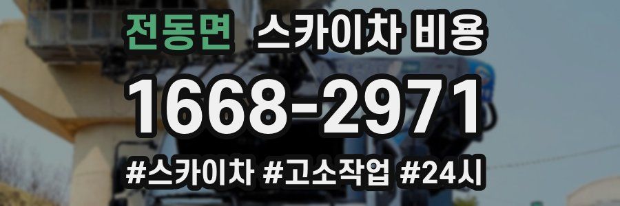 전동면 스카이차 비용