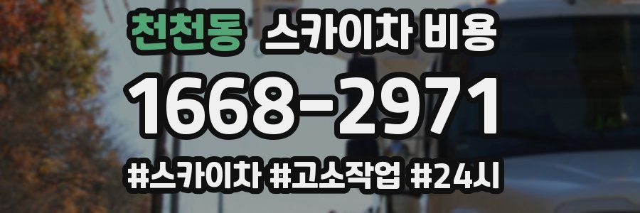 천천동 스카이차 비용