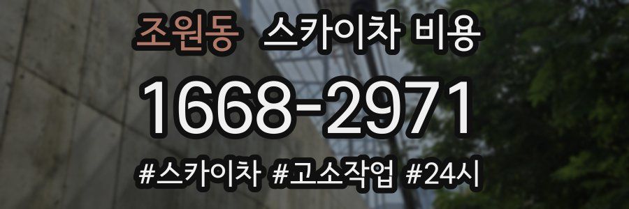 조원동 스카이차 비용