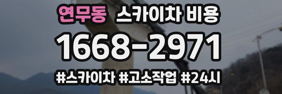 연무동 스카이차 비용