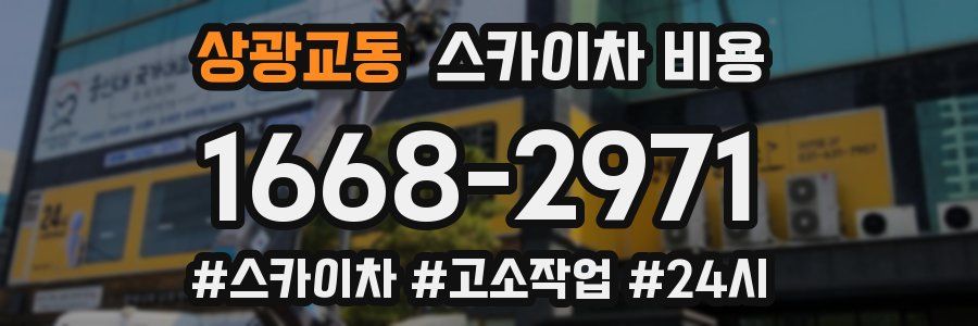 상광교동 스카이차 비용