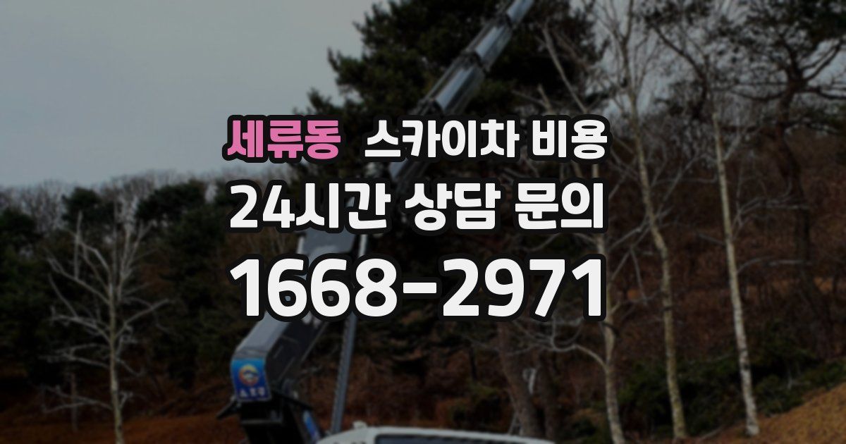 세류동 스카이차 비용