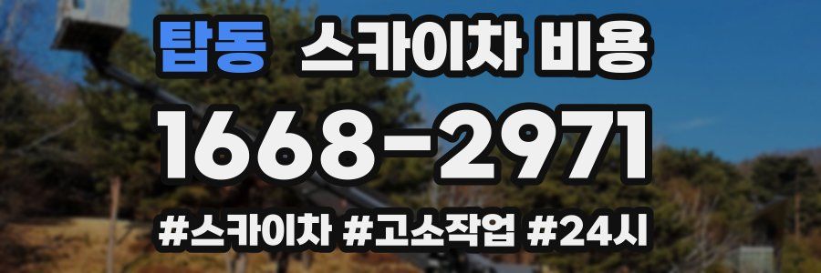 탑동 스카이차 비용