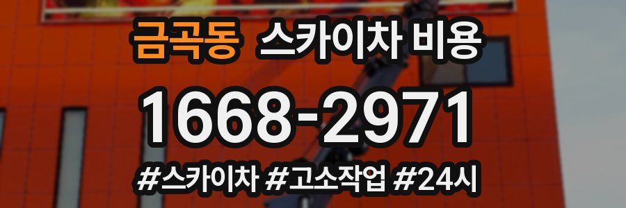금곡동 스카이차 비용
