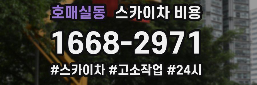 호매실동 스카이차 비용