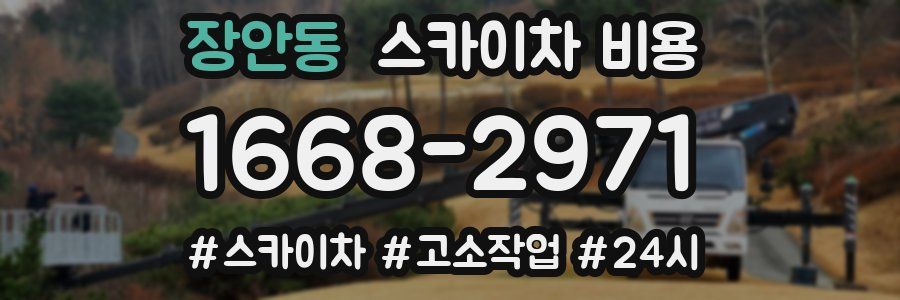 장안동 스카이차 비용