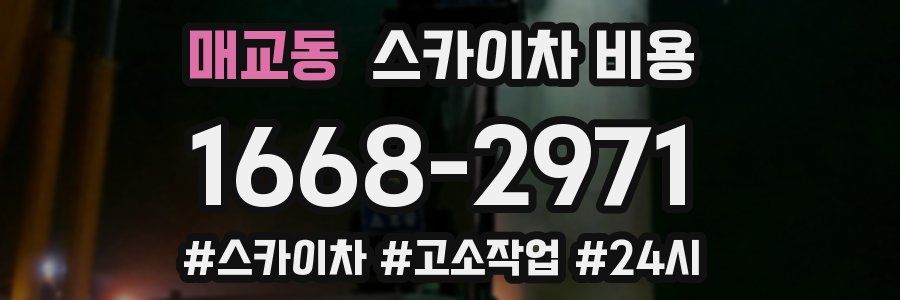 매교동 스카이차 비용