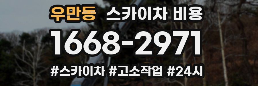우만동 스카이차 비용