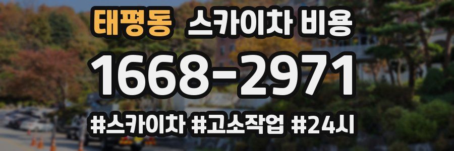 태평동 스카이차 비용