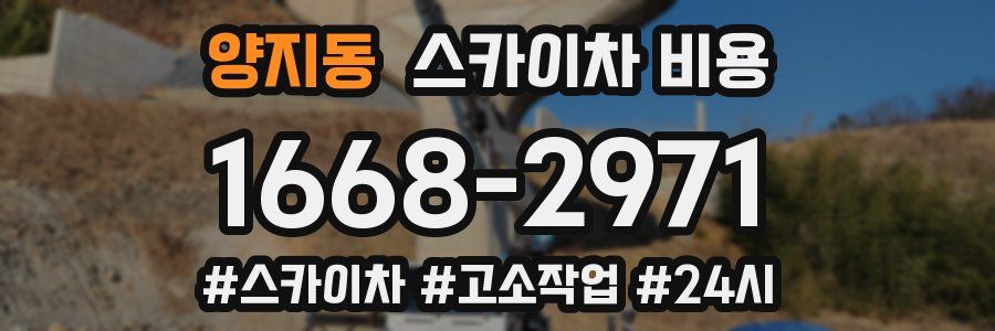 양지동 스카이차 비용