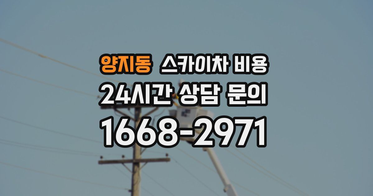 양지동 스카이차 비용