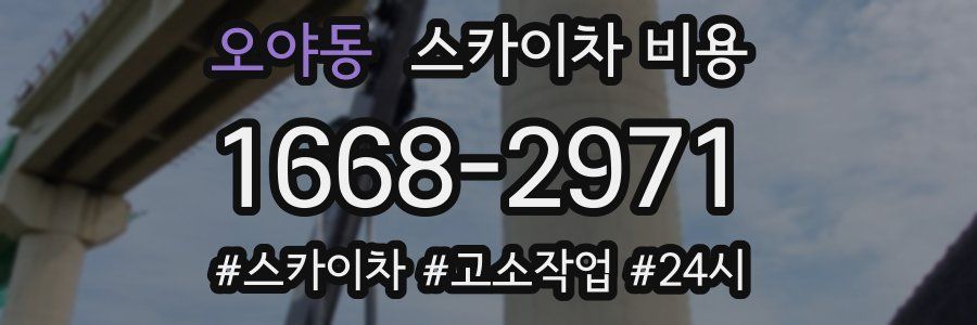 오야동 스카이차 비용