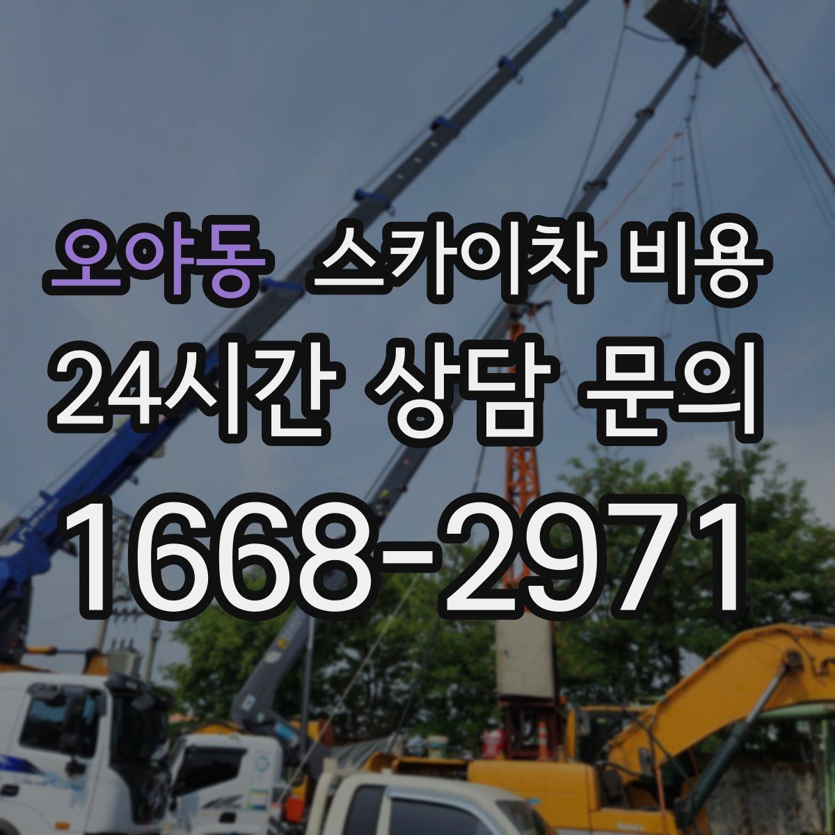 오야동 스카이차 비용