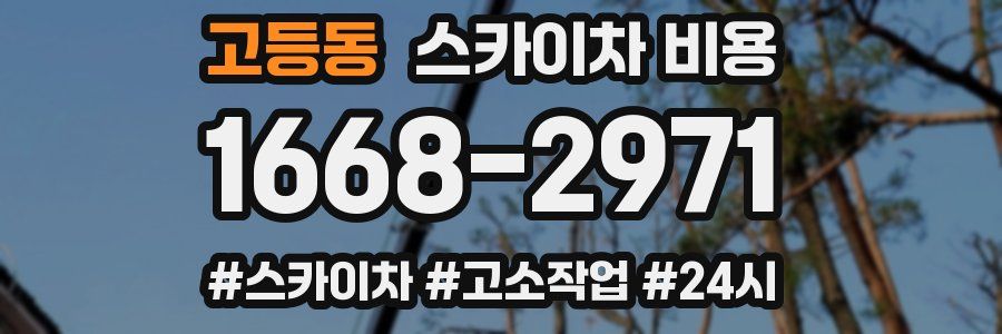 고등동 스카이차 비용