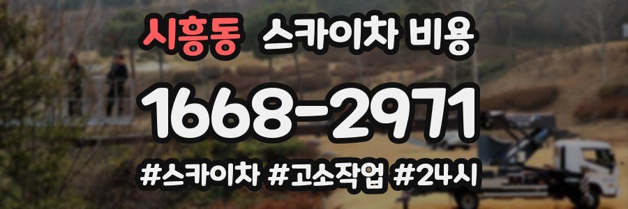 시흥동 스카이차 비용