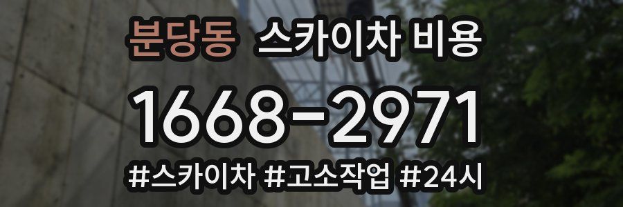 분당동 스카이차 비용