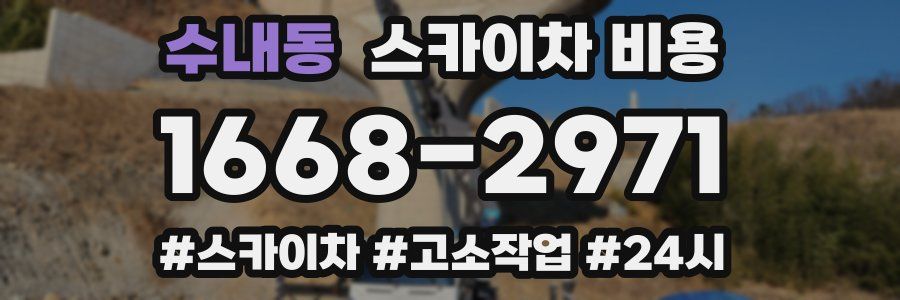 수내동 스카이차 비용