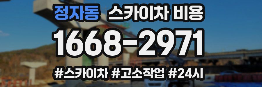 정자동 스카이차 비용