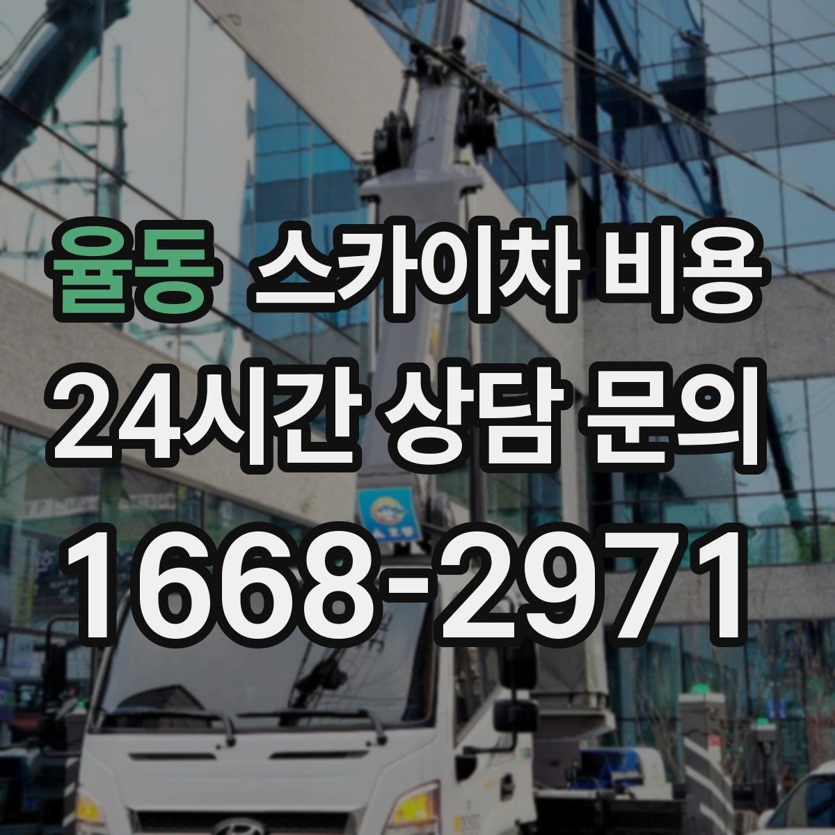 율동 스카이차 비용