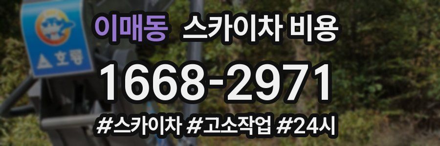 이매동 스카이차 비용