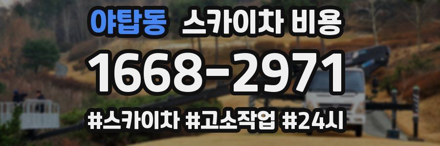 야탑동 스카이차 비용