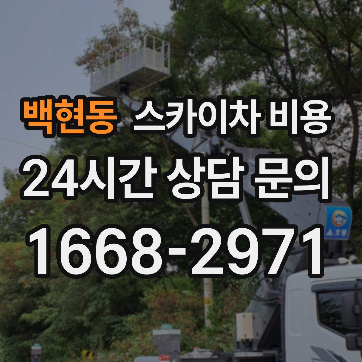 백현동 스카이차 비용