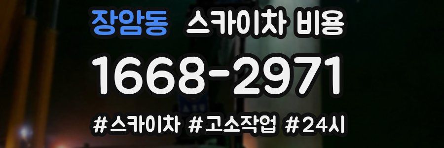 장암동 스카이차 비용